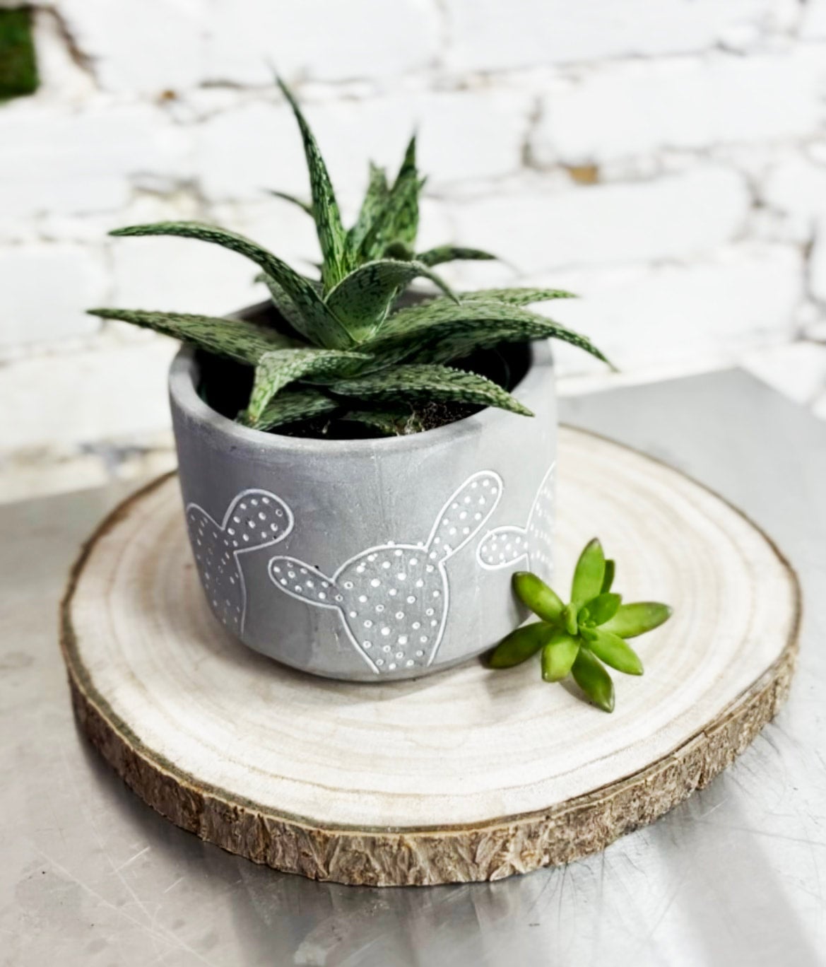 SRLSTRAIGHTTYPE PLANT POT-Lvaliemカタチ製作所 Compose your own plant | Tiger Lillies Floral Coffee Plants